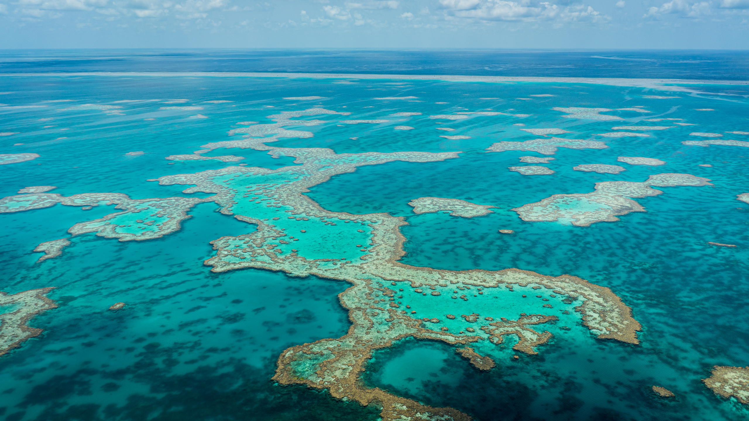 The Ribbon Reefs