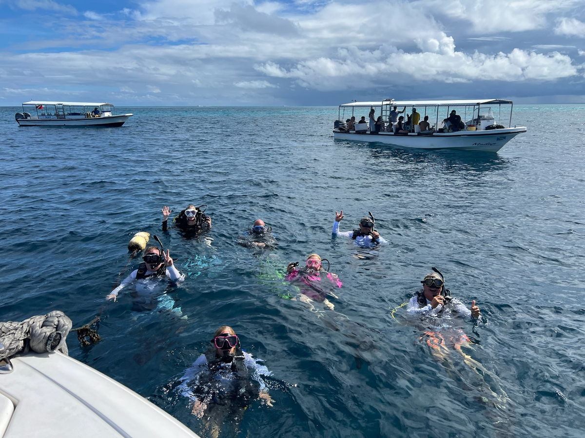 Diving