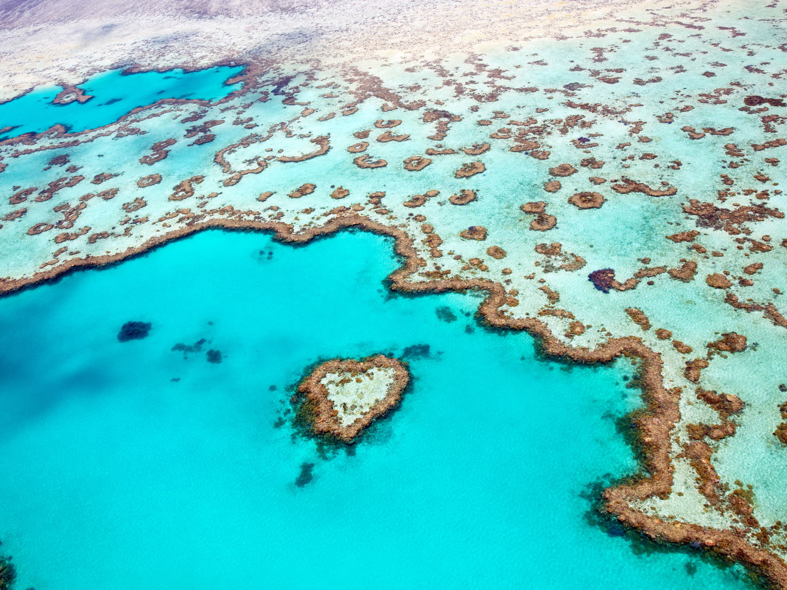 Heart Reef, in the Whitsundays.